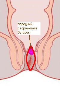 Sphincter-sparing treatment of anal fissure